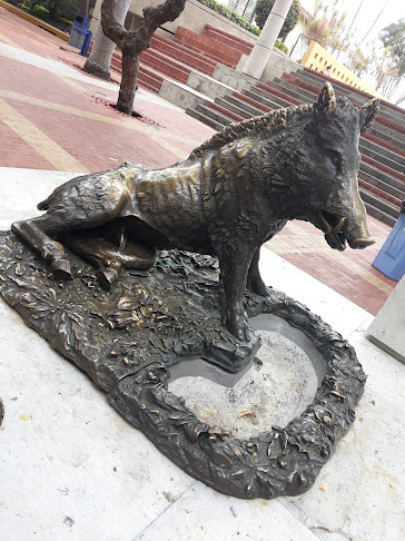 Teléfono de Fuente del jabalí