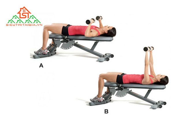 Đẩy tạ đơn trên ghế thẳng (Dumbbell Bench Press)