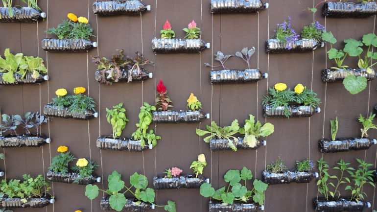 Vertical Garden