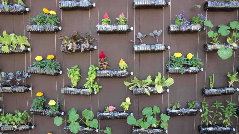 Vertical garden