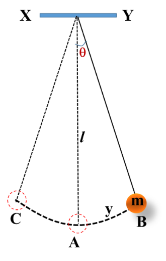Simple Harmonic Motion (SHM) Notes | Class 12
