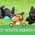 You Can Find A Way To Keep Your Dallas Yard Clean And Odor Free