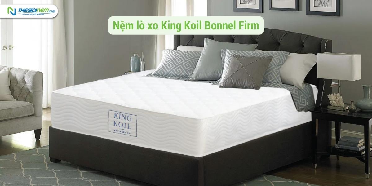 Đại lý bán nệm khách sạn giá rẻ Long Xuyên