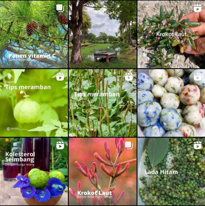 Feed instagram putrisarihati