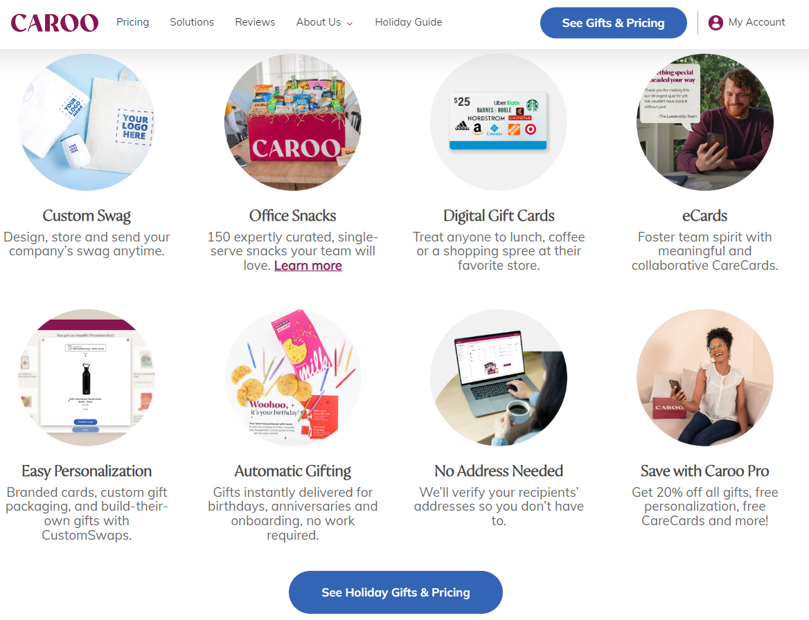 Caroo’s homepage on their website displays the different solutions they offer.