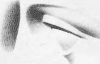 D:\0 wd yedek\acr yedek\1 film indirme\çizim_golovy_cheloveka.22x_files\image68.jpg