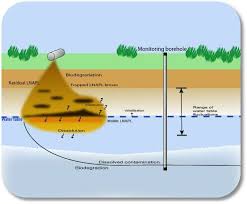 Image result for pollution meaning