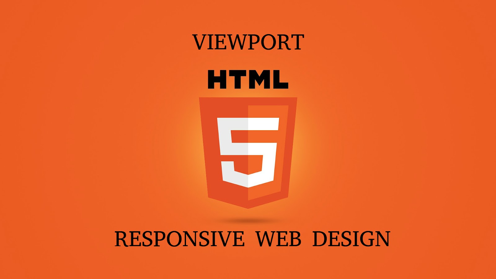 VIEWPORT.jpg