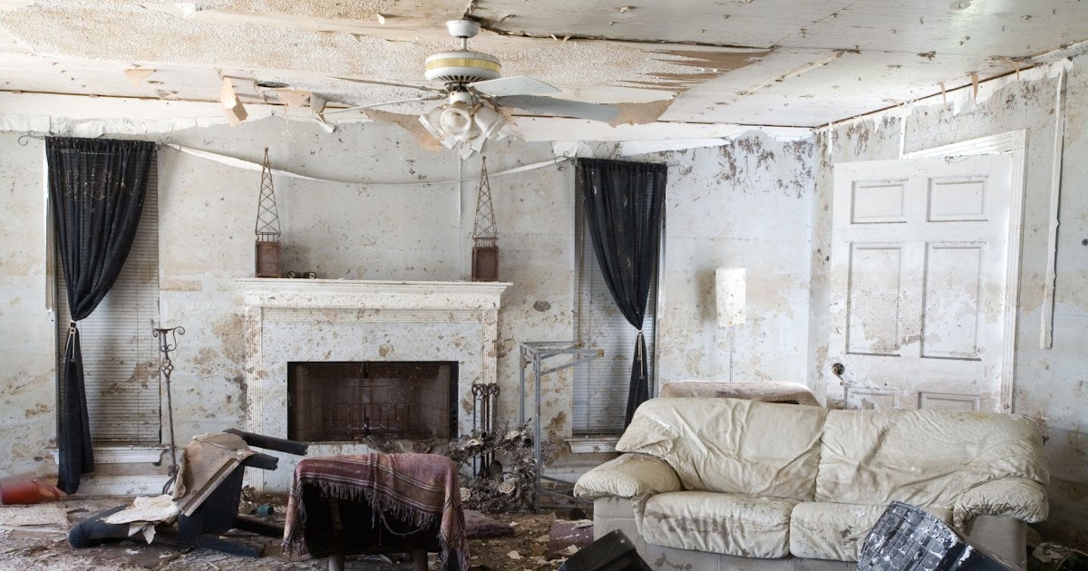 Mold-Remediation-Neighbors-Southwest-Beaverton-Oregon - Pure