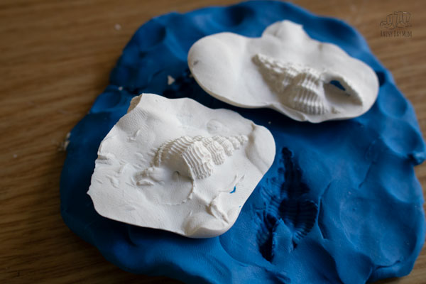 cast-fossil-experiment-results-for-kids.jpg