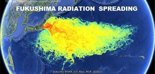 11-facts-about-the-ongoing-fukushima-nuclear-holocaust-that-are-almost-too-horrifying-to-believe2.jpg