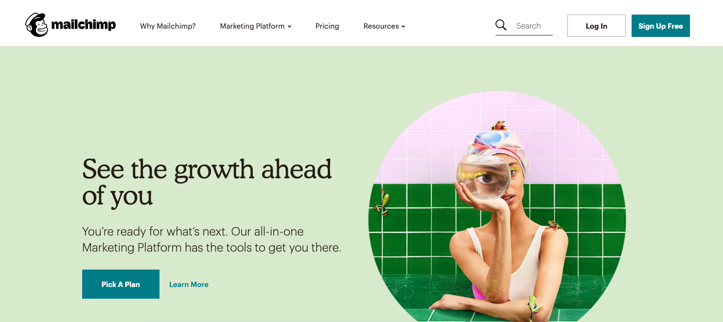 Website Website