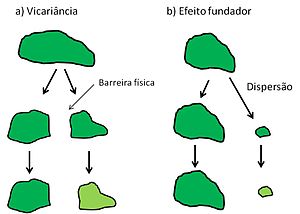 Resultado de imagem para isolamento geografico