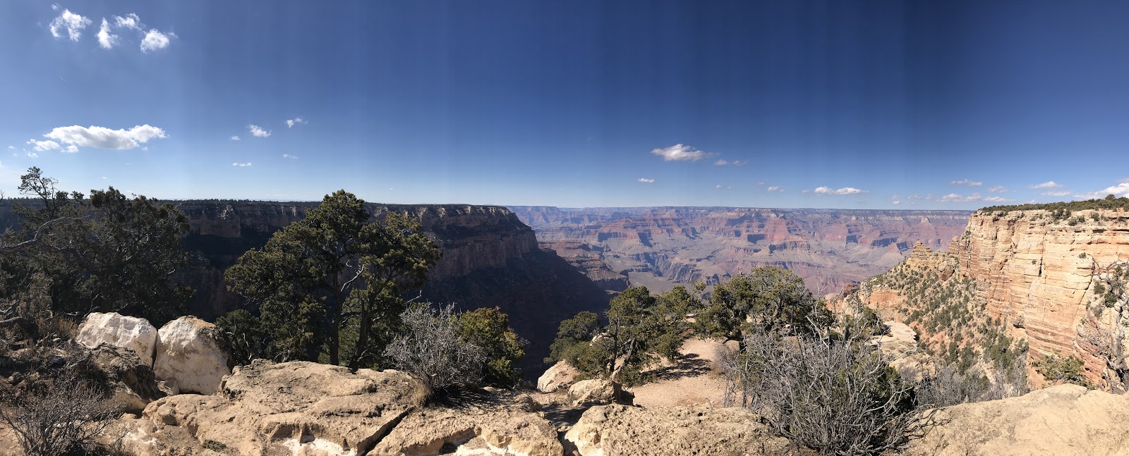 panoramic view of the grand canyon red rock and trees in foreground on a clear sunny day