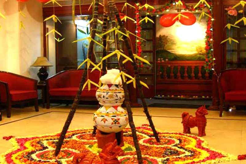 Makar sankranti decoration include pongal pot decoration in a large balcony or garden to celebrate festival this year 2023
