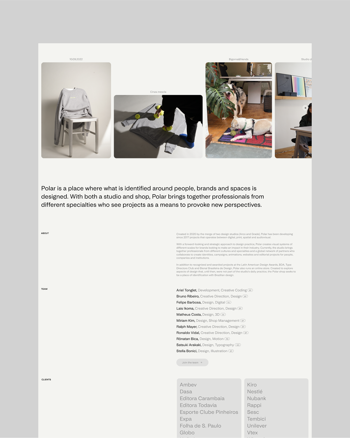 visual identity Web Design & Interaction Design