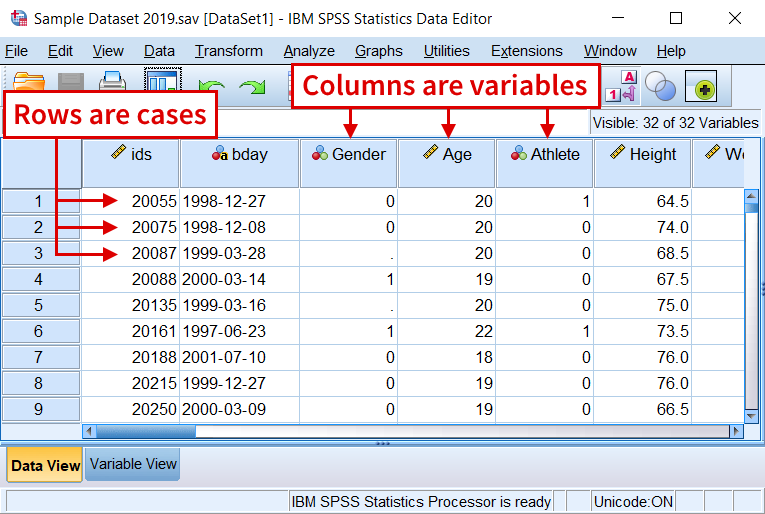 Comprehensive Guide to SPSS Assignments