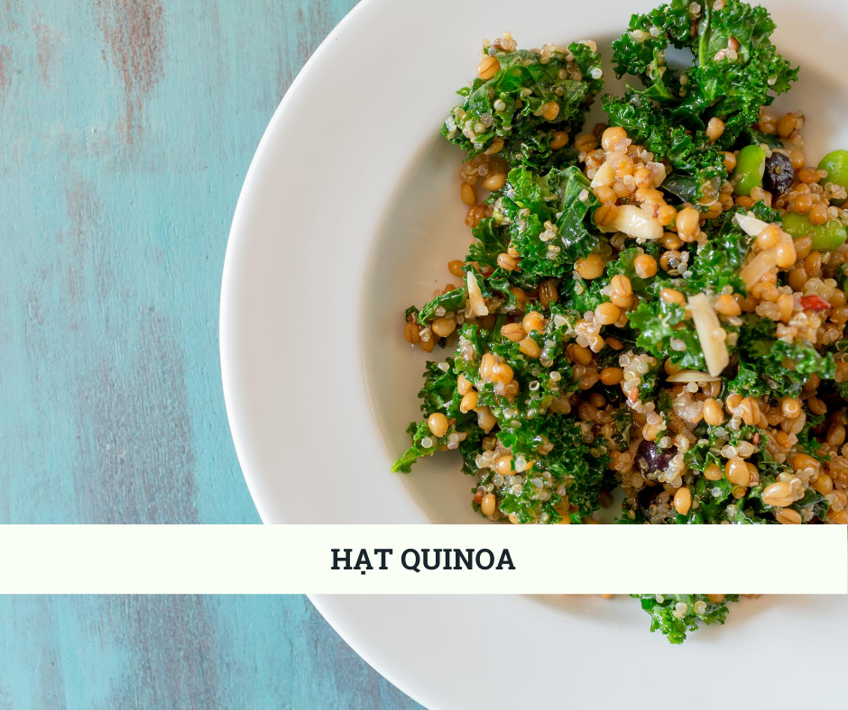 Hat quinoa có thể thay thế protein từ thịt