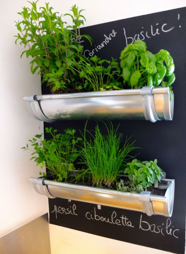  Herb Garden Ideas