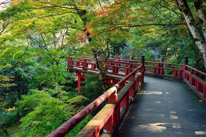 Paisagem com árvores e ponte