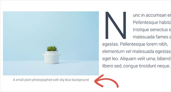 Exemplo de uma legenda exibida abaixo de uma imagem