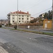 Şal Halı İthalat İhracat San.