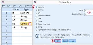 Screenshot of SPSS software, showing Variable Type menu box over data set view. Options selected are Numeric, and Width of 2, Decimal Places of 0.