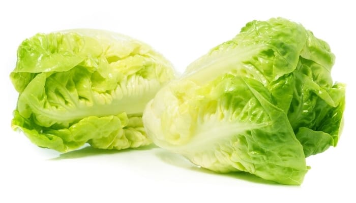 Romain Lettuce