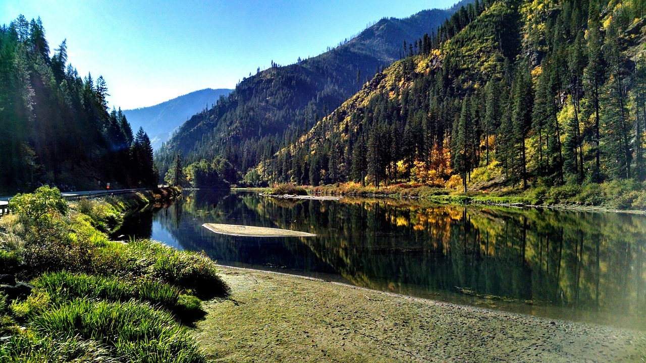 A beautiful PNW river overlooking green lush forests Image from: https://pixabay.com/photos/icicle-river-river-505421/