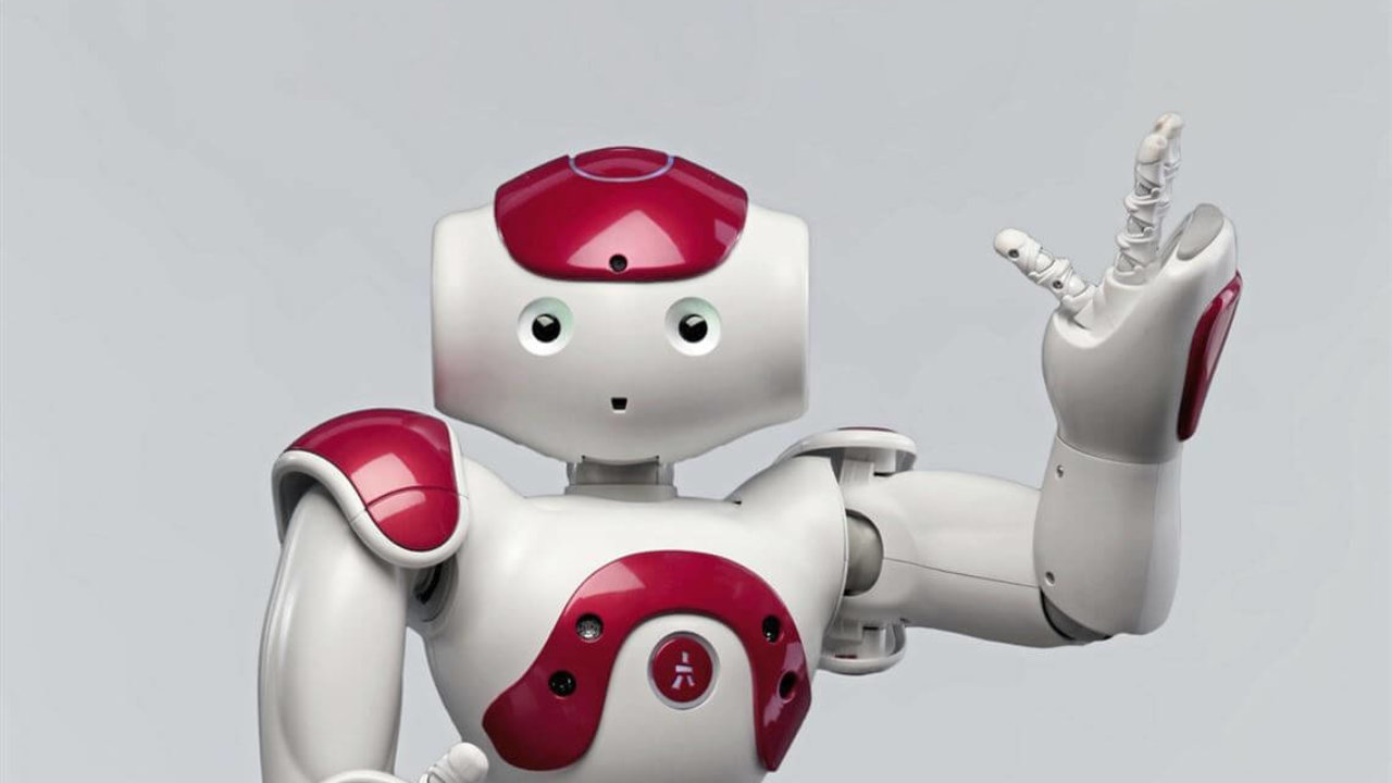 What is humanoid robot?
