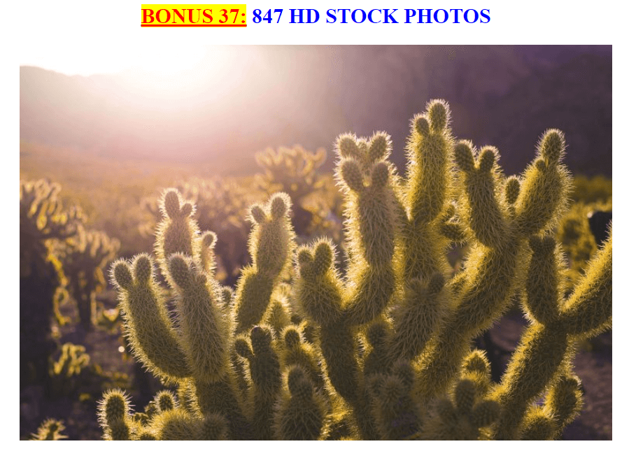 Graphics-Bonus-37