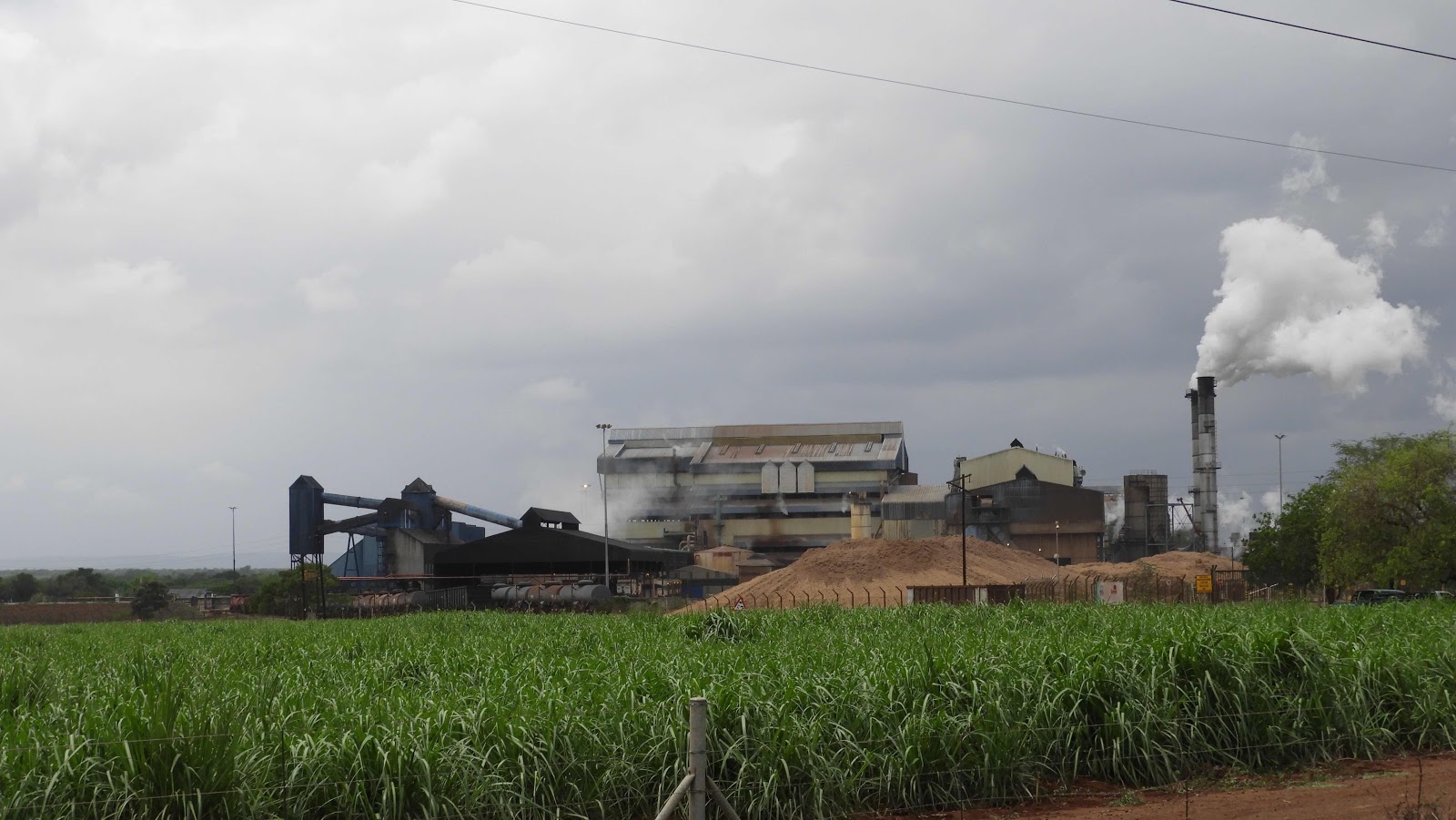 Sugar cane factory - Komatipoort