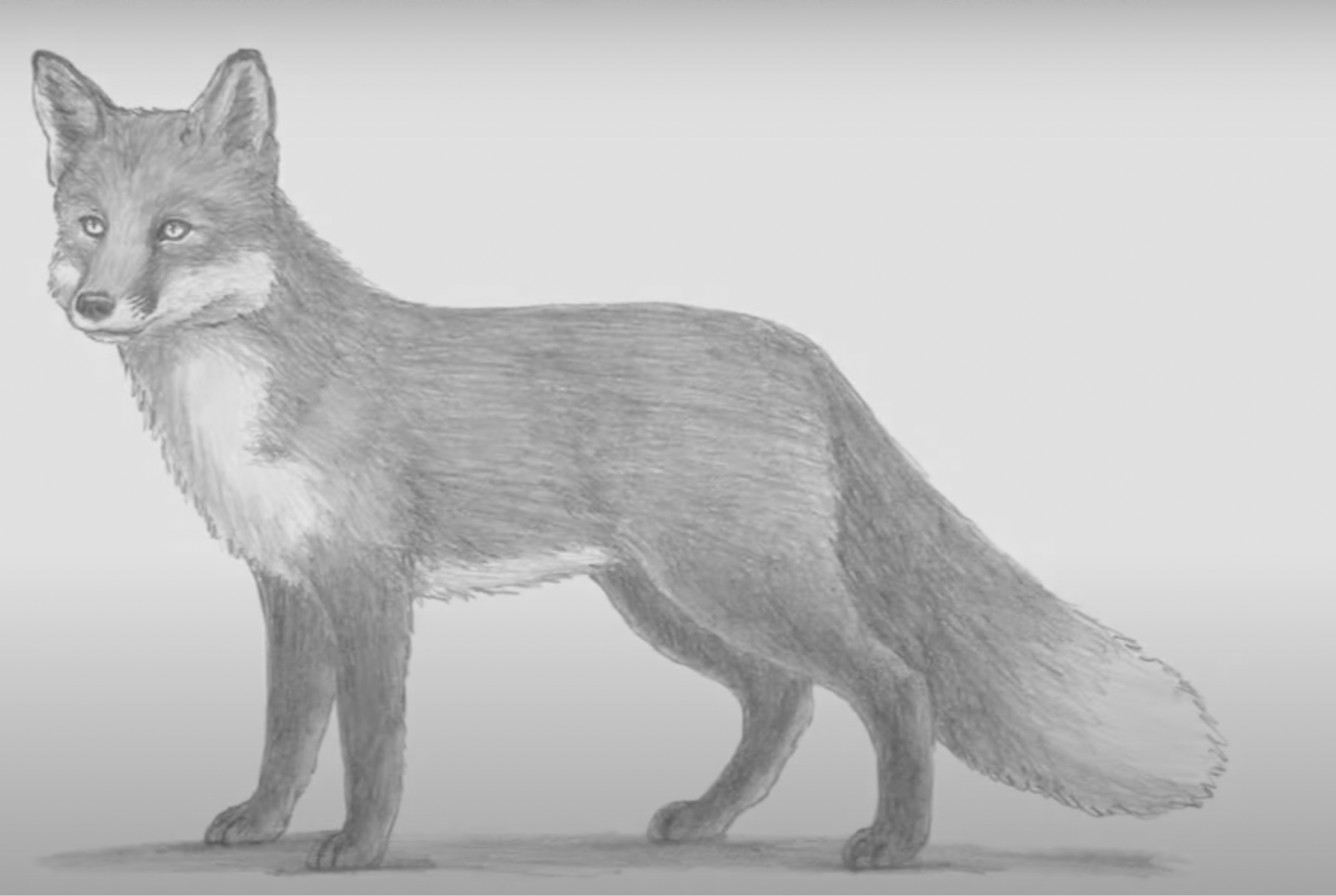 15 Unique Ways to Paint a Fox for Any Levels