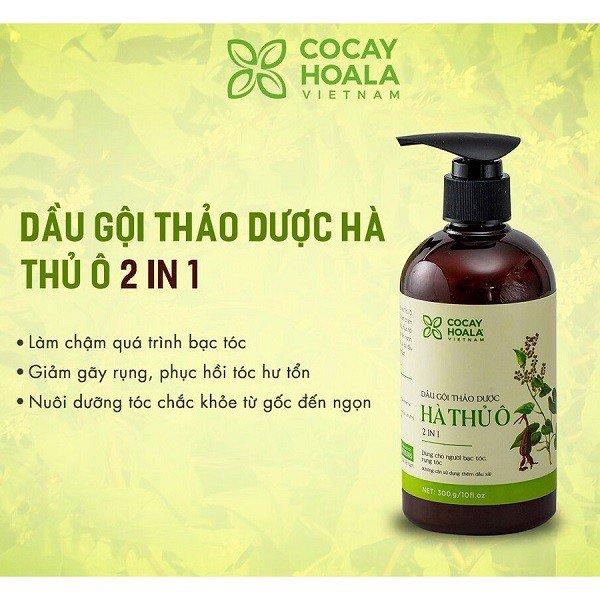 đâu là cách chữa tóc bạc sớm hiệu quả nhất