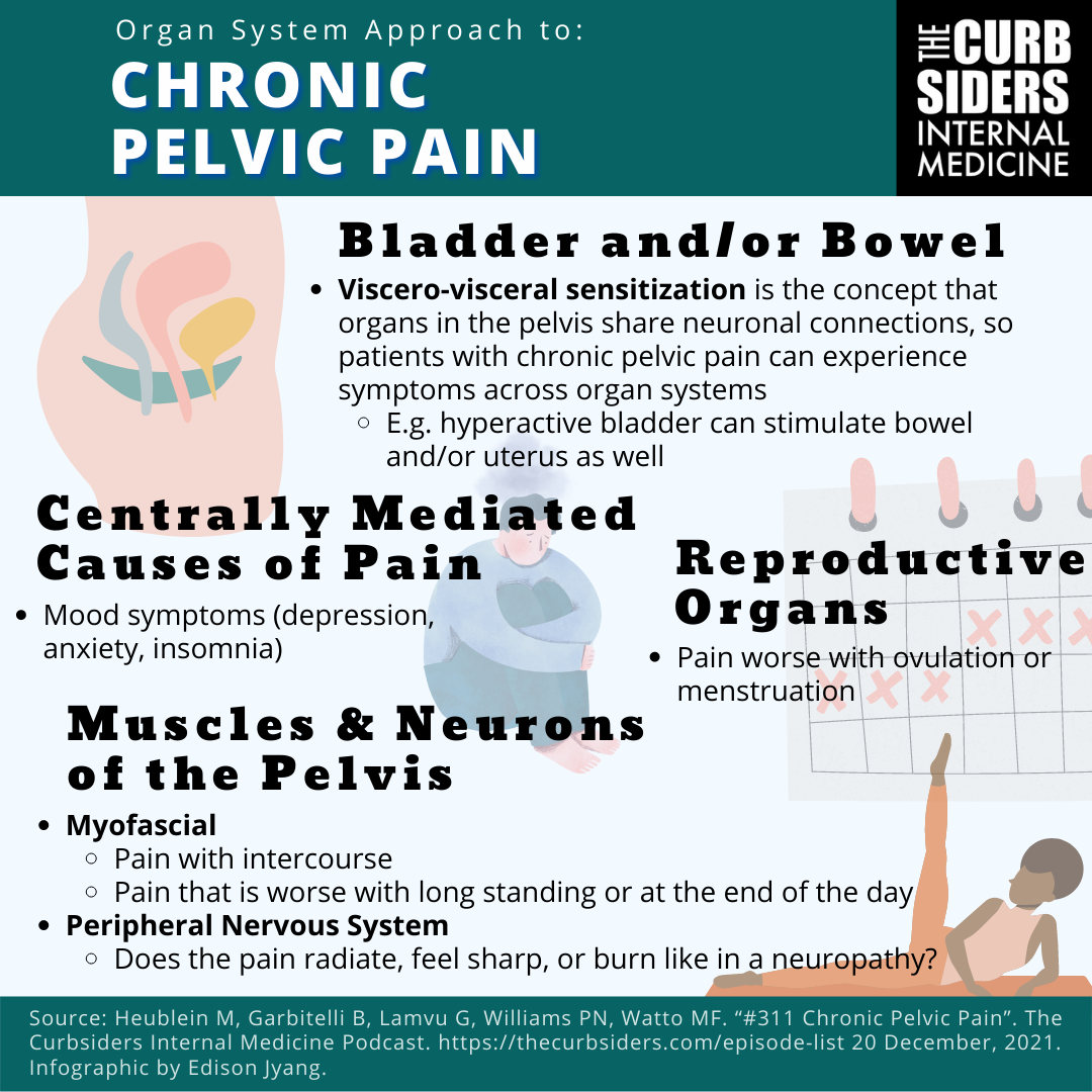  311 Chronic Pelvic Pain