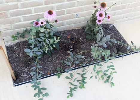 concrete landscaping drain