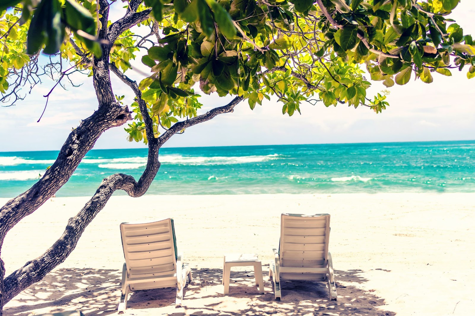 how much does it cost to go to the bahamas