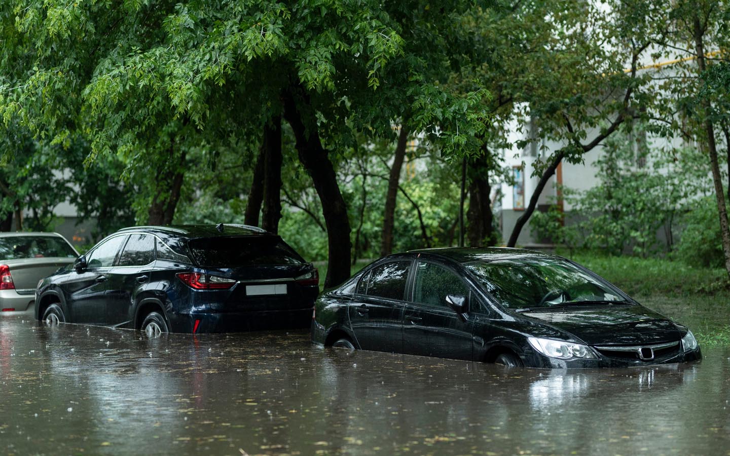 car insurance in dubai for seasonal damage