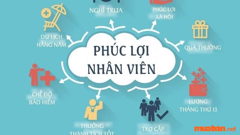  Xem xét các phúc lợi làm việc