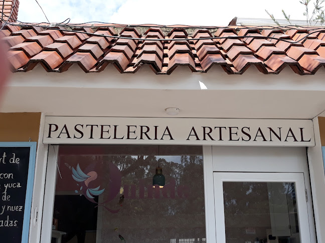 Avenida Ordóñez Lazo y, Los Cedros SN, Cuenca