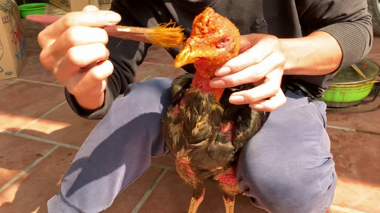 Hình ảnh