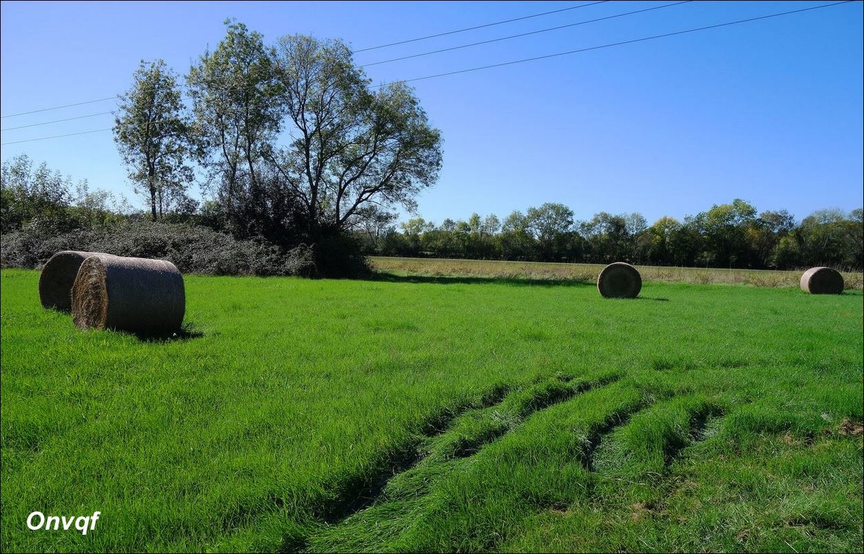 ob_19f586_circuit-de-l-adour-amont-et-des-braous.JPG