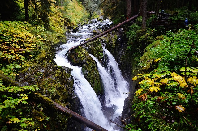 Olympic National park is one of the best campsites for fall foliage