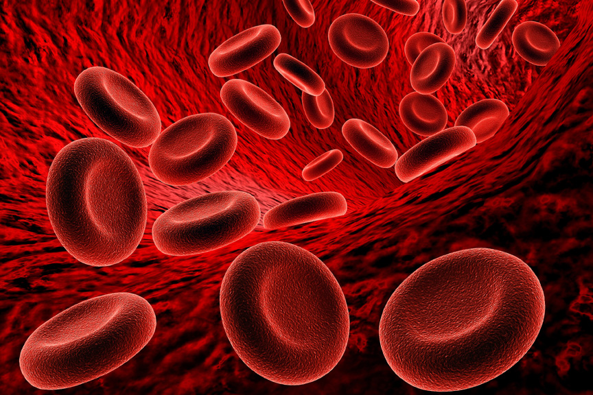فقر الدم (الأنيميا) الأسباب والأعراض والعلاج
