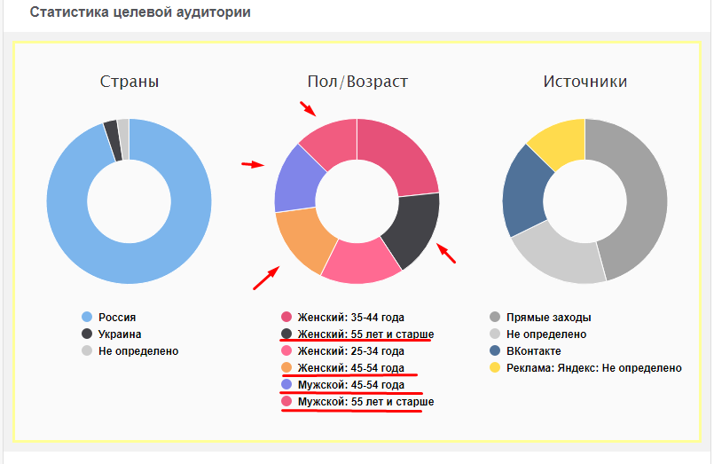 Возраст сегменты. Диаграмма целевой аудитории. Анализ рынка и целевой аудитории. Целевая аудитория график. Целевая аудитория в туризме.