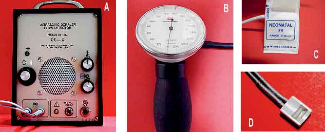 Example of equipment used to measure blood pressure by the Doppler method