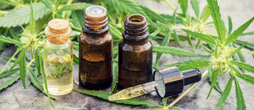 Where Can I Buy CBD Products?