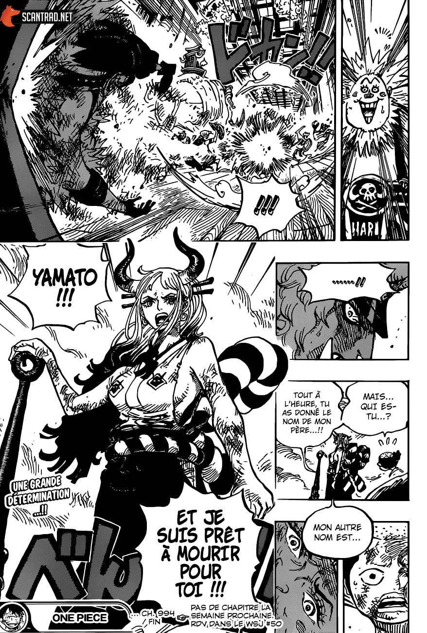 One Piece: Chapter 994 - Page 16