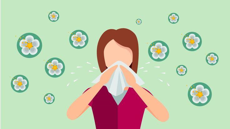 What Are Allergies? Symptoms, Causes, Diagnosis, Treatment, and Prevention  | Spring allergies, Seasonal allergies, Allergies