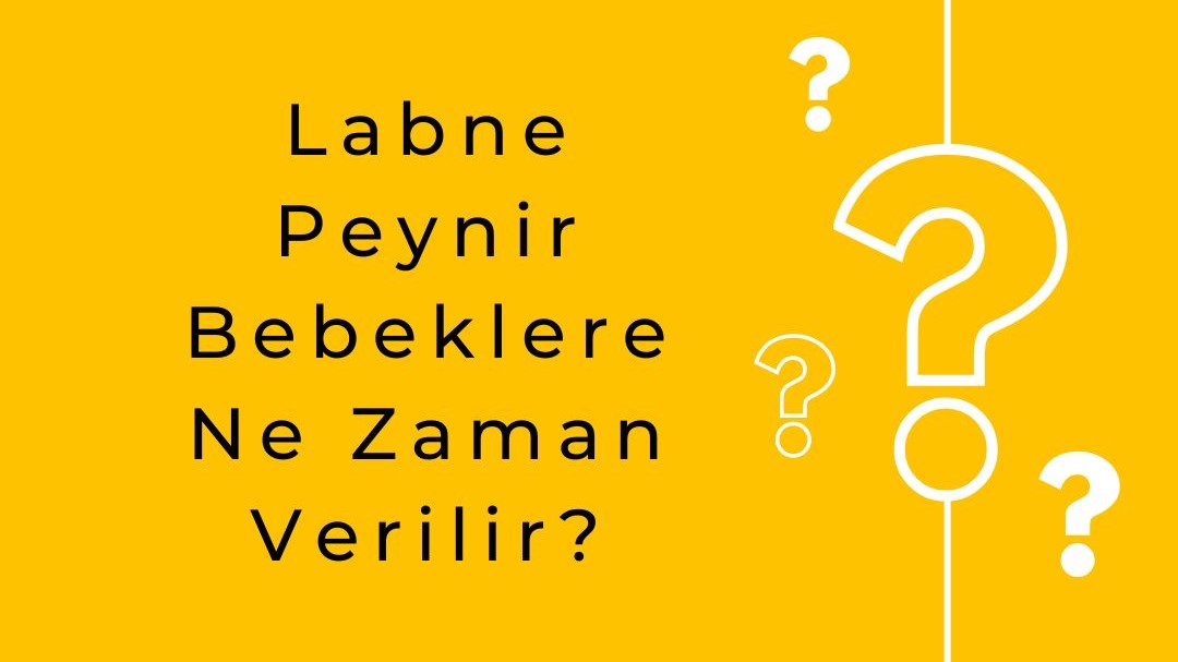 Labne Peynir Bebeklere Ne Zaman Verilir?